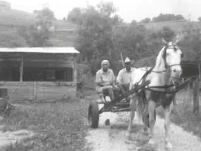 The author's Uncle James and Aunt Rosa, riding on a carriage in the Holler