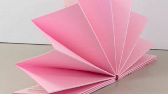 Tony Feher, Blossom, 2009, extruded polystyrene, 4 x 8 x 2 feet, Courtesy of the artist, Photograph by Jason Mandella