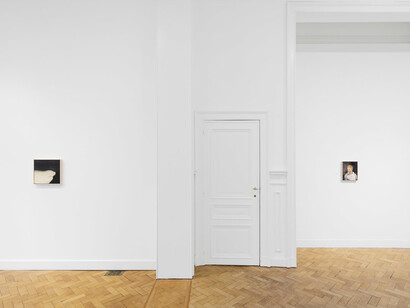 Seth Becker, Skunks misery road, exhibition view. Courtesy of Gladstone Gallery