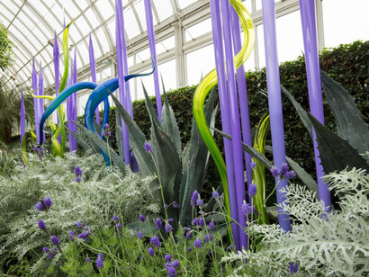 Chihuly. Courtesy of NTBG