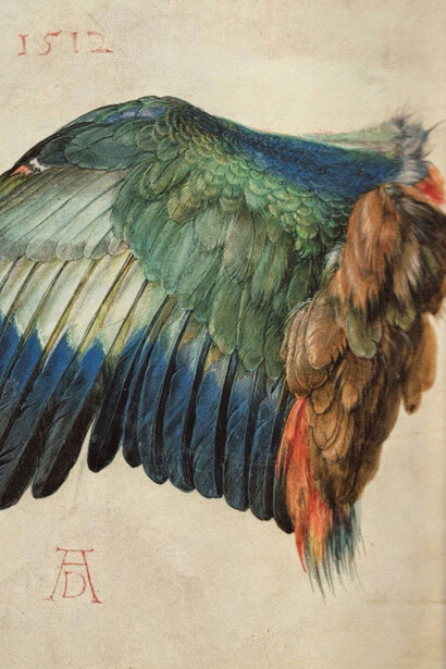 Albrecht Dürer. Courtesy of Albertina