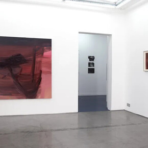 Barbara Hammer, Strip to the bones, exhibition view. Courtesy of Galerie Derouillon
