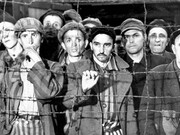 Holocaust