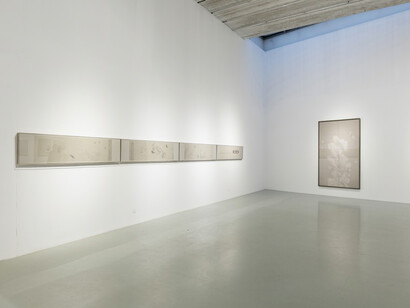 Forbidden Flowers. Courtesy of Amy Li Gallery