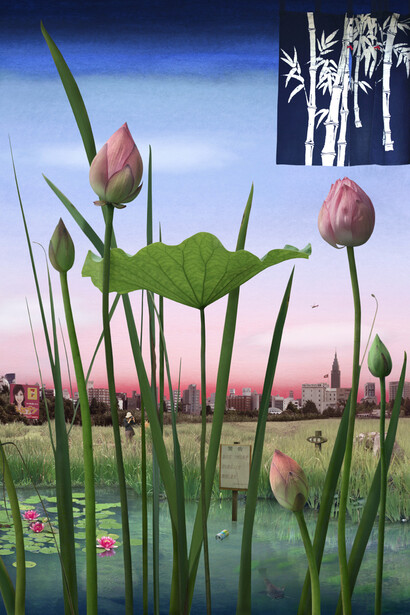 Emily Allchurch, Tokyo Story 1: Lotus Garden (after Hiroshige), 2011, Transparency on LED lightbox © Courtesy the artist and LA Noble Gallery