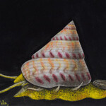 Collectors. Courtesy of RAMM