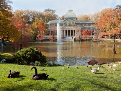 El Palacio de Cristal en el parque del Retiro. Madrid
