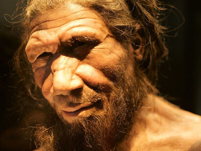 Reconstrucción de la posible apariencia de un hombre Neanderthal