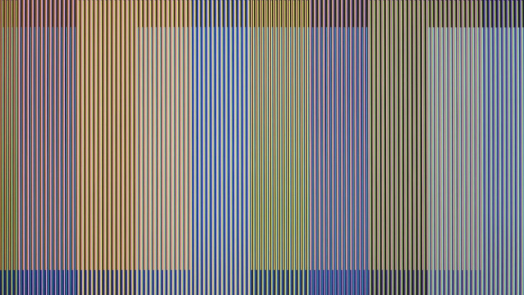 Visions in Motion. Courtesy of Puerta Roja