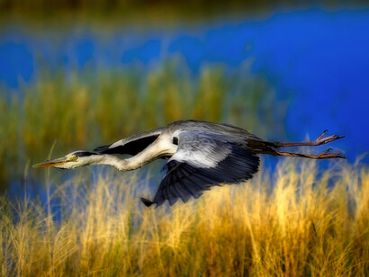Namibia, foto Sergio Pessolano 