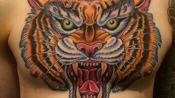 "Tiene un dibujo en el pecho: es la cara de un tigre que me recordó a Shere Khan, del Libro de la Selva...."