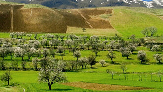 Iraqui Kurdistan