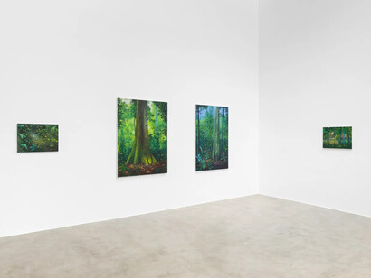 Miguel Penha Chiquitano, Água da mata, vista da exposição. Cortesia de Zipper Galeria