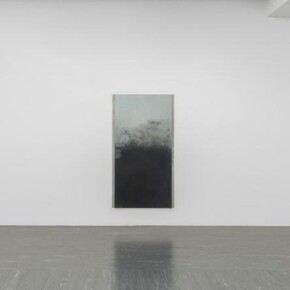 Anita Leisz. Courtesy of 21er Haus