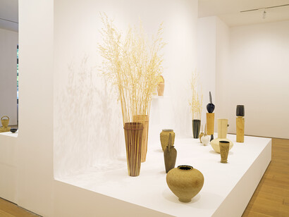 Elina Belou,, Life of a sunflower, exhibition view. Courtesy of Bernier/Eliades Gallery