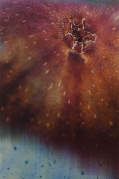 Jitish Kallat, Sightings D9M4Y2015, detail, 2015, 7 part lenticular photopiece, 27 x 126 in, Courtesy Galerie Daniel Templon, Paris. © Jitish Kallat