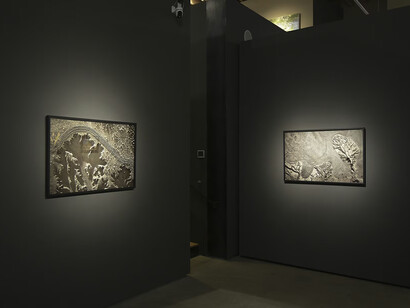 Various artists, September salon, exhibition view. Courtesy of Evoke Contemporary