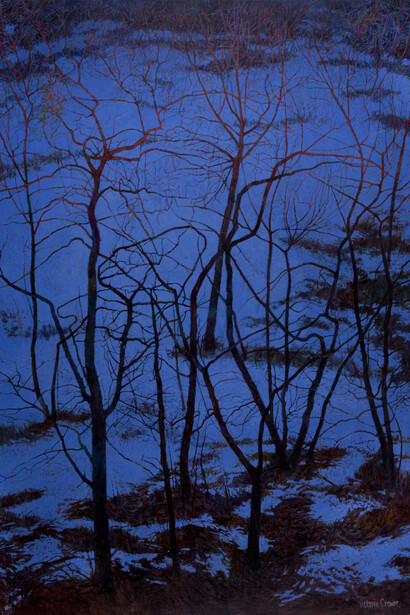 Victoria Crowe, Shadow and Fire, oil on linen, 101.5 x 76.2 cm