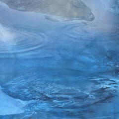 Bernd Kirschner. Courtesy of Galerie Michael Schultz