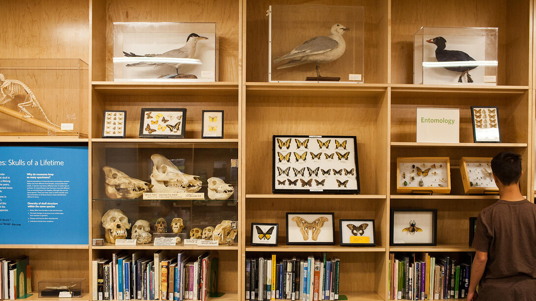 Naturalist Center. Courtesy of California Academy of Sciences