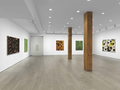 Douglas Melini, Under your skin and over the moon, exhibition view. Courtesy of Miles McEnery Gallery