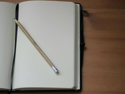 Sufro ante esta profunda realidad. Iré a enfrentarla y a luchar contra ella, como un soldado más o menos solitario, hasta mi último aliento rebelde, para que la vida no deje de ser libre y bella