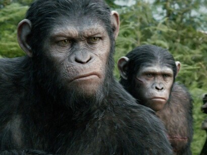 Monos (imagen de la película "El planeta de los simios")