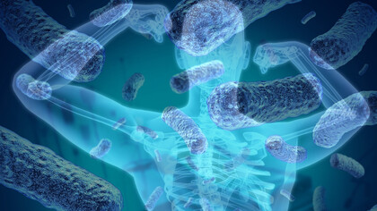 La flora batterica intestinale