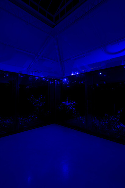 Hicham Berrada - Azur, 2014-2015, Papier Arche 300g tendu sur châssis, Chlorure de Cobalt, résistance, verre, 60 x 50 x 19 cm,- Celeste, 2014, Vidéo couleur. Ciel gris, fumée bleu ciel, 5 min 55 s, Vue de l’exposition « Paysages a circadiens », kamel mennour (6 rue du Pont de Lodi), Paris, 2015 © Hicham Berrada © Photo. Fabrice Seixas, Courtesy the artist and kamel mennour, Paris