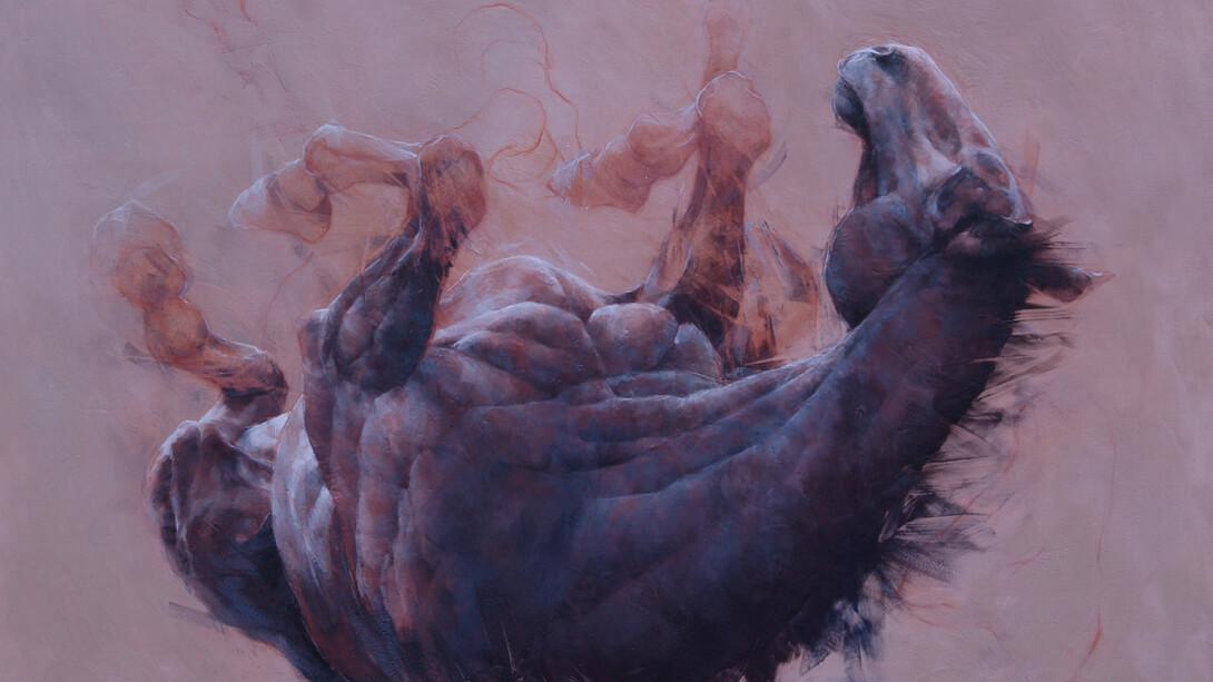 Iwona Nartowska O’Reilly, Rolling