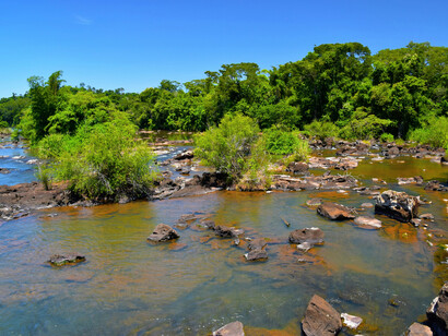 Misiones, Argentina, Jeffrey Eisen