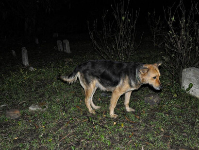 Raw Poetry. Courtesy of Bozar