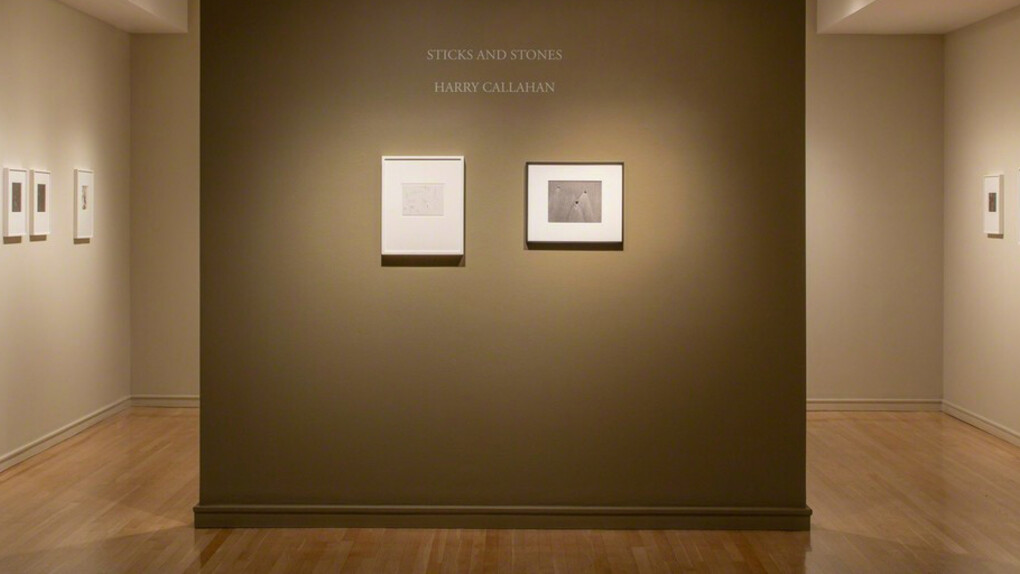 Harry Callahan. Courtesy of Pace/MacGill Gallery