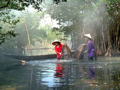 Two Vietnamese women working among the mangrove roots with fishing baskets, reflecting the intimate relationship between rural communities and the water