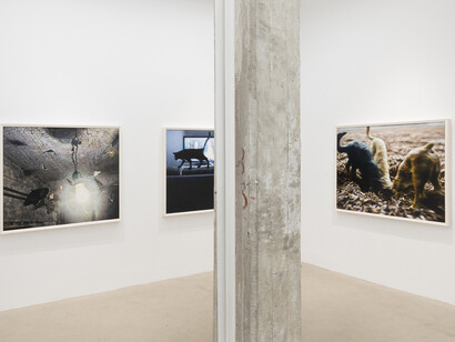 Philipp Fröhlich, La cavale, vista de exhibición. Cortesía de la Galería Juan Silió 