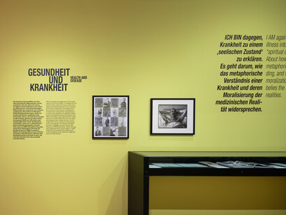 Susan Sontag, Sehen und gesehen werden, ausstellungsansicht. Mit freundlicher genehmigung der Bundeskunsthalle