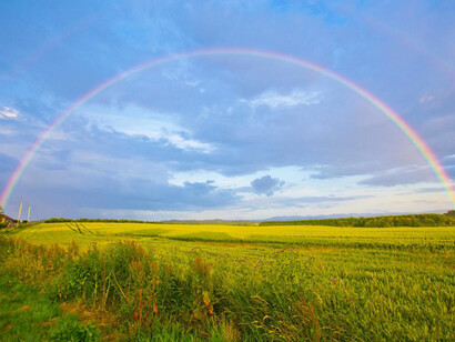 Arcoíris en un campo