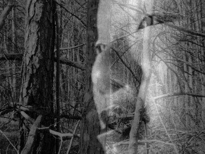Saara Ekström, Hypnos (video still, detail). Courtesy of Turku Art Museum
