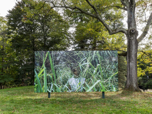Various artists, Nature sanctuary, exhibition view. Courtesy of DeCordova Sculpture Park and Museum