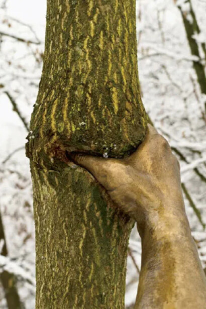 The image depicts a sculpture by Giuseppe Penone, an Italian artist known for his work exploring the relationship between humans and nature. Specifically, the sculpture shown is titled "Continuerà a crescere tranne che in quel punto" (It Will Continue to Grow Except at This Point). 1968/2003, tree, bronze; arm, 15 3/4 x 4 x 5 1/8″. Installation view, Maritime Alps, near San Raffaele Cimena, Italy, 2008