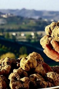 Truffles, an authentic luxury