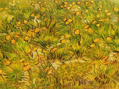 «Campo con flores amarillas»
