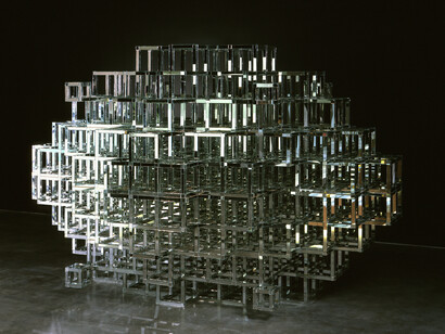 The University 1, 2004, Photograph by Oren Slor, © David Altmejd, Image courtesy of Andrea Rosen Gallery, New York  