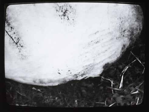 Fragmento de de "Secret Spill", video de Theresa Hak Kyung Cha