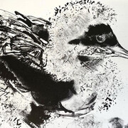 Works on paper, artwork in exhibition. Courtesy of Salamanca Arts Centre