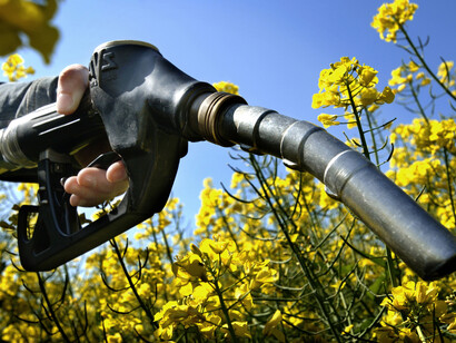 Biocarburanti e ambiente