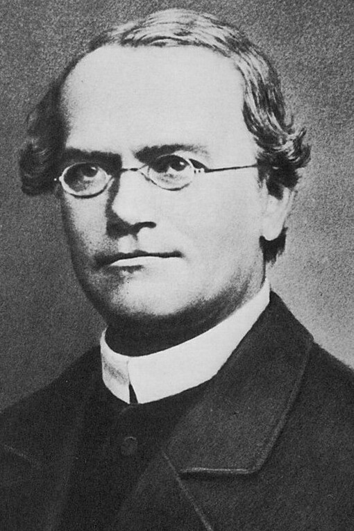 Mendel (1822-1884)