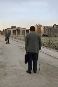 Un piccione seduto su un ramo riflette sull'esistenza, 2014, Roy Andersson