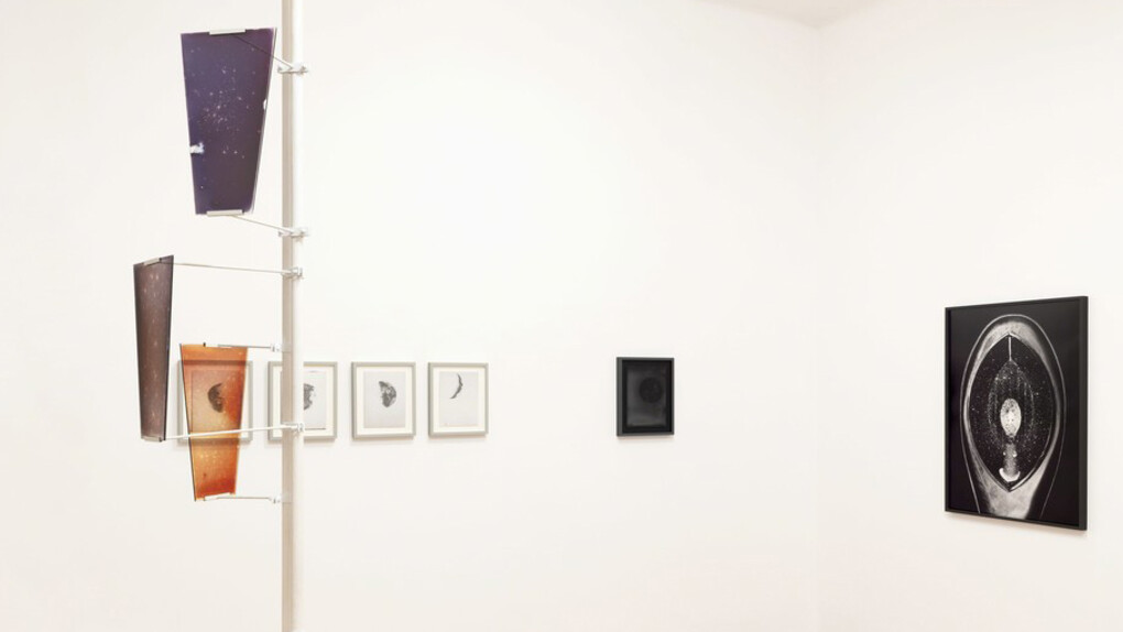 Night Lights. Courtesy of Monica De Cardenas