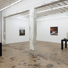 Rob Davis, Lace, exhibition view. Courtesy of Nina Johnson Gallery